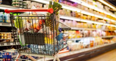 UK Government Implements Tariff Cuts on Everyday Items and Summer Essentials